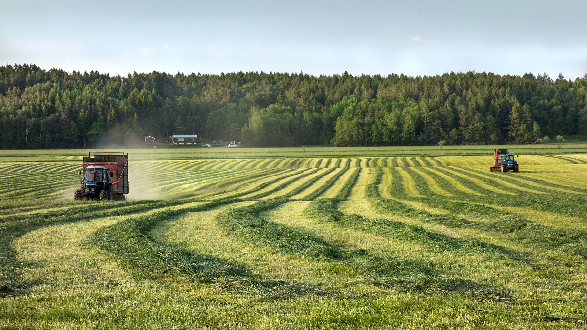 Máquinas agrícolas trabalhando no campo